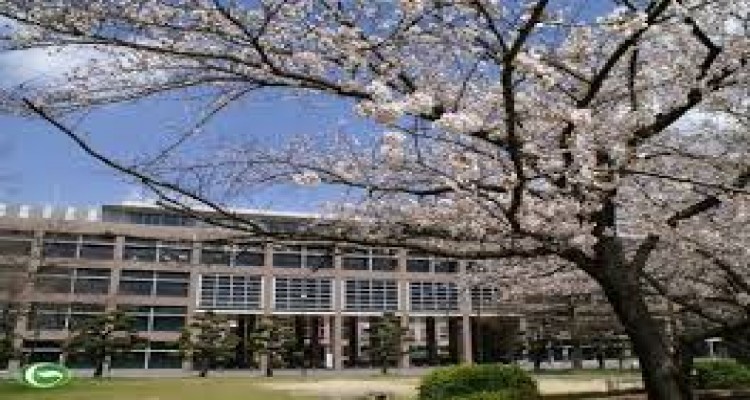 KHÁI QUÁT VỀ HỆ THỐNG GIÁO DỤC ĐẠI HỌC TẠI NHẬT BẢN