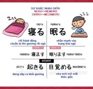PHÂN BIỆT TRẠNG THÁI NGỦ